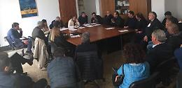 Danni all'agricoltura a causa delle gelate, il Comune lancia l'sos alla Regione Lazio
