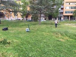 L'erba cresce "all'improvviso", il Comune torna all'affidamento diretto per tagliarla