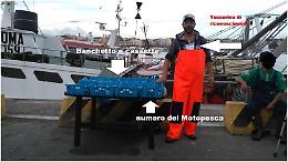 Consumo delle telline: i consigli della Guardia costiera su come acquistare e cosa mangiare