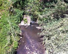 Odori nauseabondi dal fosso Brivolco: con i primi caldi tornano i problemi per tante famiglie