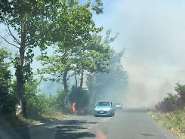 Incendio sulla Nettunense: strada chiusa e traffico ferroviario bloccato sulla Roma-Nettuno