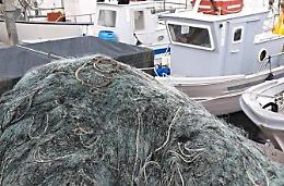 Mare sempre più povero e danni al settore della pesca, presto il monitoraggio dei fondali