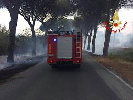 Fiamme su via Litoranea: diverse case minacciate dall'incendio divampato dalle sterpaglie