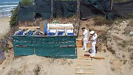 Spiaggia occupata abusivamente da un  noleggiatore, sequestrati cento lettini e ombrelloni