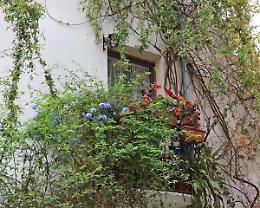 Concorso balconi fioriti 2017 la premiazione nell'incantevole quartiere della Giudea