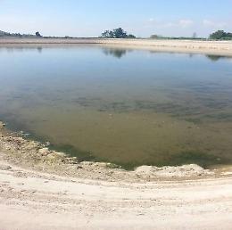 Emergenza siccità, la Coldiretti apre una vertenza sui danni creati all'agricoltura
