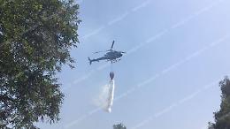 Roghi, la "bomba" dei terreni incolti. Incendi in sequenza e controlli al palo tra erbacce e degrado