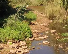 "Pronti a ripulire l''Amaseno", l'associazione "Visit Priverno" si vuole impegnare nella bonifica
