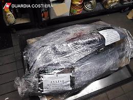 Sequestrai dalla Guardia Costiera 200 kg di tonno rosso pescato illegalmente