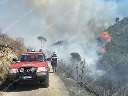 Mille ettari devastati dal fuoco, Latina è la provincia più colpita di tutto il Lazio
