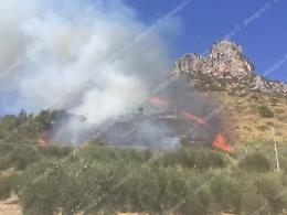 Offensiva di Legambiente contro i piromani: partono esposti in Procura e raccolta delle segnalazioni