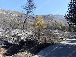Incendio a Terracina, la conta dei danni: un casale bruciato e la tranquillità perduta