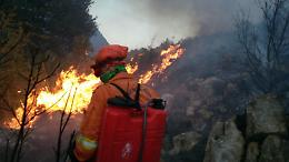 Incendio del 21 luglio 2017: il sindaco Amici chiede lo stato di calamità naturale
