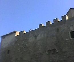 [FOTO] Torre Astura, sito archeologico e spiaggia "violentate". Il racconto di un cittadino