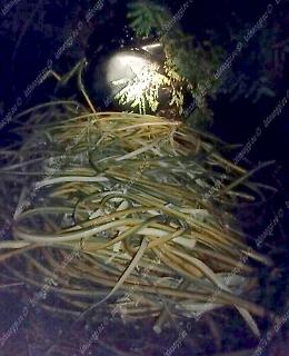 [FOTO] Sventato maxi furto di rame, nel mirino l'azienda sulla Pontina che produce cavi elettrici