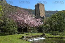 Ninfa sta morendo e nessuno fa niente, il grido d'allarme sulla sorgente prosciugata