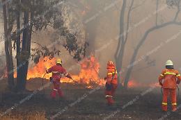 Incendi a non finire in tutta la provincia pontina, &egrave; l'estate peggiore dal 2003 ad oggi