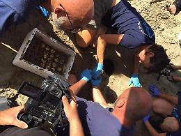 Niente nascita per le tartarughe marine, la delusione dei bambini e le ragioni della mancata schiusa