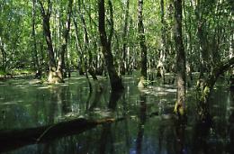 Escursioni gratuite nel Parco Nazionale del Circeo, come partecipare