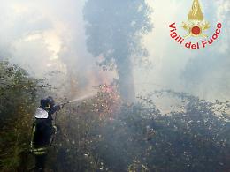 Vasto incendio in località Selvapiana, ancora una volta si tratta di fiamme di natura dolosa