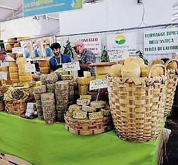 Formaggi pontini protagonisti di "Cheese", la rassegna sulle «forme del latte» dello Slow Food