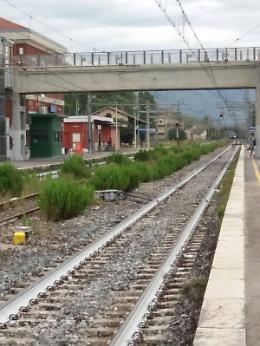 Riattivazione  linea ferroviaria Priverno  -Terracina: tavolo in Ministero
