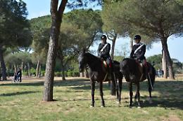 Arrestato dai carabanieri a cavallo a Villa Ada. Giovane apriliano accusato di spaccio