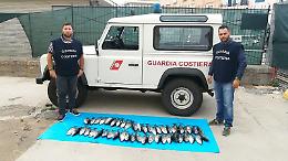 Decine di esemplari di tonno rosso pescati illegalmente, scattano sanzioni e sequestri