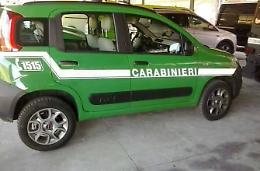 Controlli a tappeto dei Carabinieri Forestali, scattano sequestri e sanzioni
