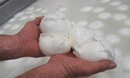 Agroalimentare, ora le firme per il settore senza diritti