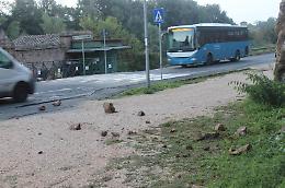[FOTO] Cadono massi dalla rupe di tufo, centro storico a rischio