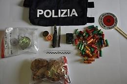 Hascisc tra le piante, il gip convalida: resta in carcere