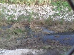 Fondi, esposto di Legambiente: "Liquami fognari nel canale Pedemontano"