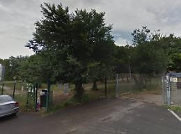 Prevenzione degli incendi, un progetto per il Boschetto