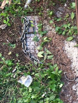 [FOTO] Atto vandalico nel Palazzo dei Conservatori, danni ingenti