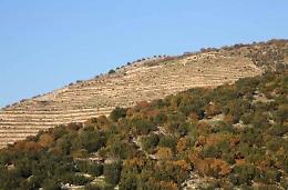 Cave, il consigliere Di Giorgio in cerca di chiarezza