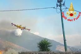 Sermoneta, comincia l'opera di riforestazione dopo gli incendi