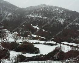 Fuoriporta: ecco la neve caduta ai Castelli Romani nella zona di Nemi