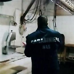 Alimentari etnico senza autorizzazioni, i Nas lo chiudono