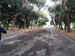 Si masturba ai Giardinetti davanti ai minori poi fugge in bici