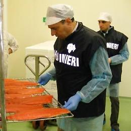 I NAS sequestrano un deposito per la vendita di pesce e mille kg di prodotti