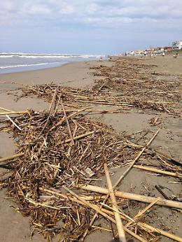 Terracina, Fare Verde pulisce la spiaggia con "Il mare d'inverno"