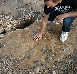 Orma del dinosauro, da 400 giorni in attesa del trasloco