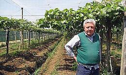 Campoli: "Danni all'agricoltura per calamità naturali, la legge va cambiata"