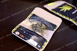 Arriva la "marijuana light": si compra in tabaccheria e nei negozi