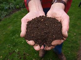 Compostaggio, in arrivo seicentomila euro di fondi regionali