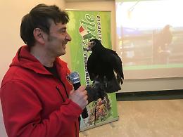 Torna la Mostra Agricola di Campoverde, oggi la presentazione