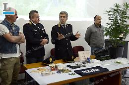 VIDEO:  Marijuana e armi, due arresti tra Aprilia e Nettuno