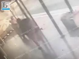 Ladre di fiori incastrate dalle telecamere: il video finisce sui social