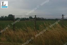 Atterraggio d'emergenza per un aereo ultraleggero. Tanta paura per il pilota